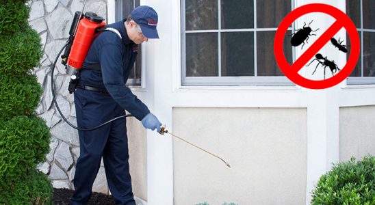 Karakoçan Akrep İlaçlama böcek ilaçlama ve haşere kontrolü — ilaclama-tr.com